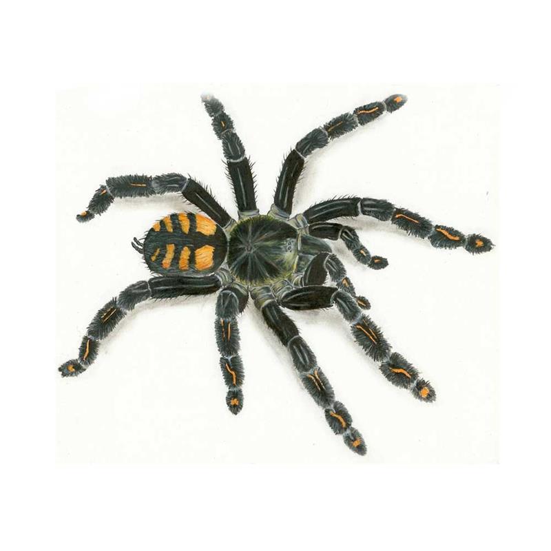 b7218c171dd02b6009c04a5e6ae59d0a