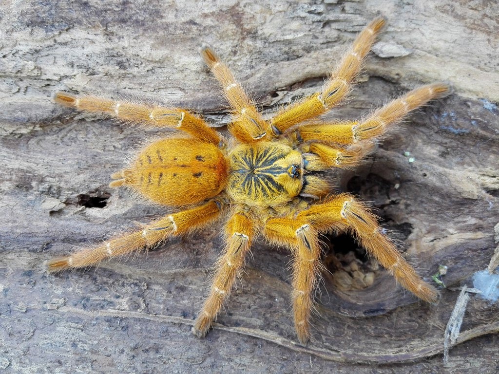 7584d9ff43dc2669bd4ffdd5b488e5eb