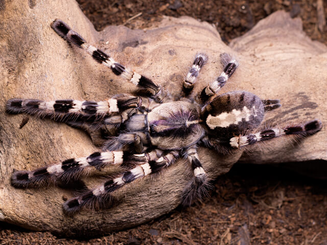 f9bed8b77aaff73031511cb31d3e5c4f