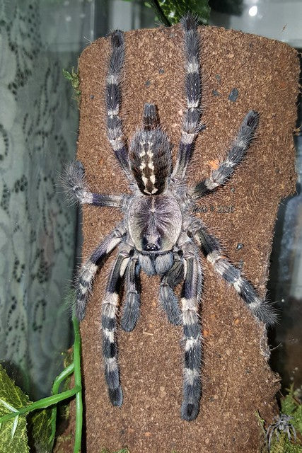 b2f3f6887daa216b5b671931592e22aa