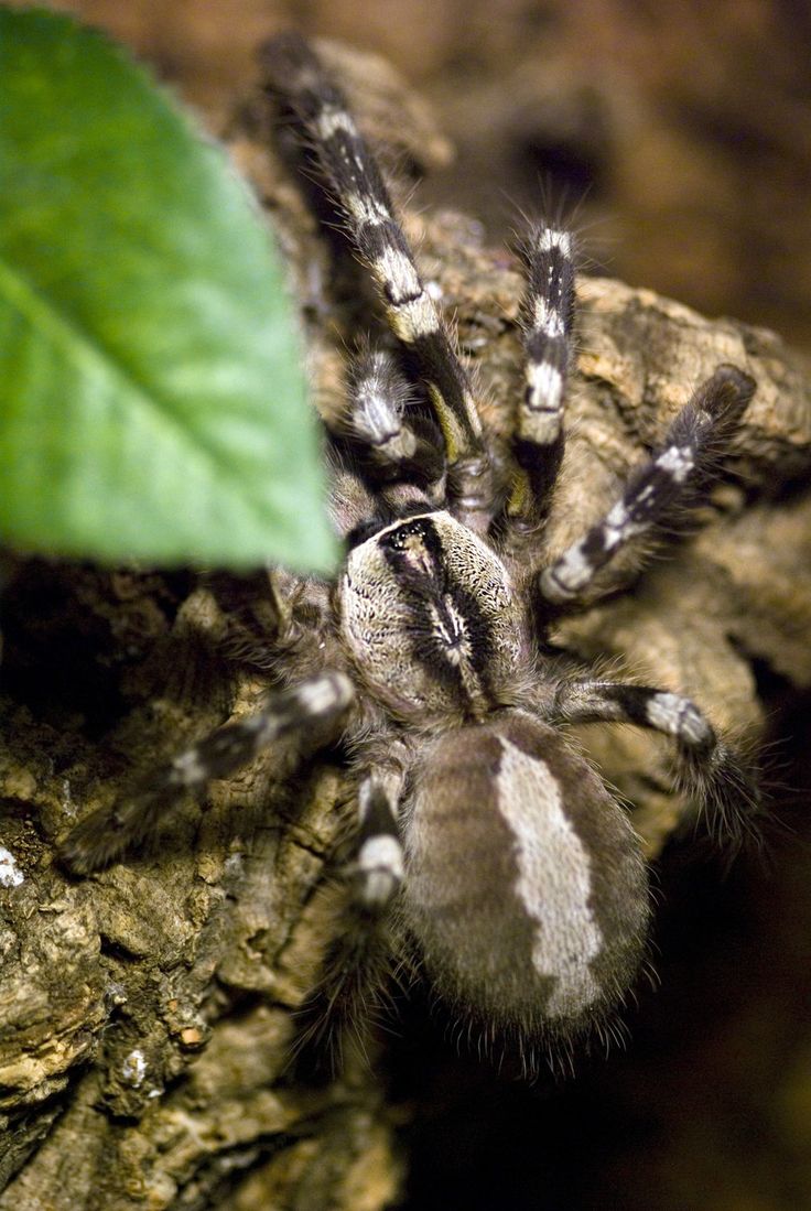 26a403b252acdd1a74c516e80a0172c4