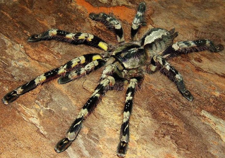 ab01dc2aaaaa9c5727bbafc6c63276c3