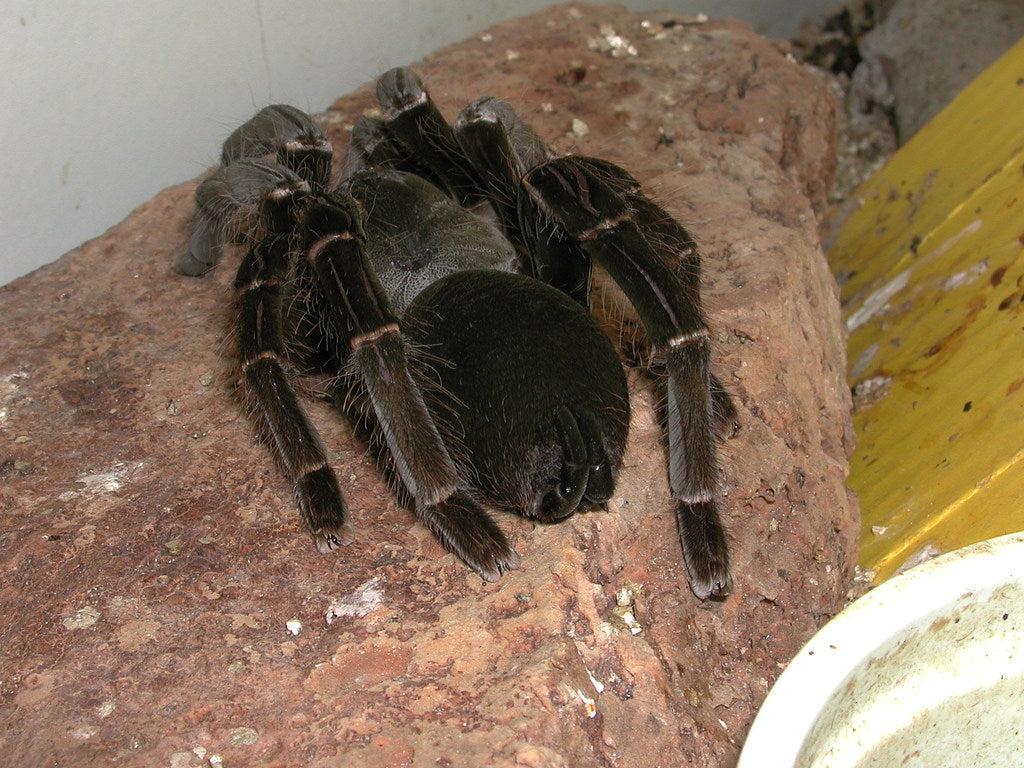 15fe8cbf7c9c890d077b6d760177dd2d