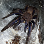 9d16cbdbc830e68f150dce1326e00d09