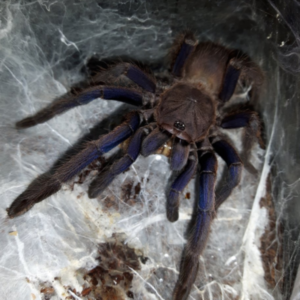 9d16cbdbc830e68f150dce1326e00d09