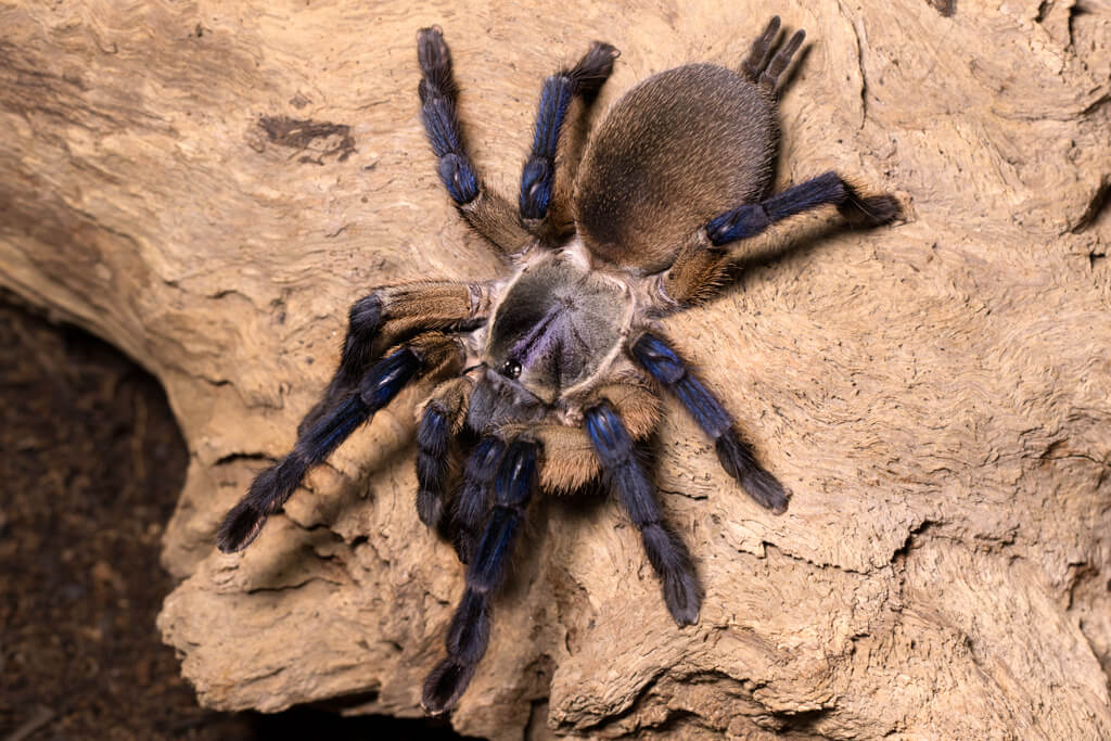 dd071d2075047b2123940883ed6df1bd