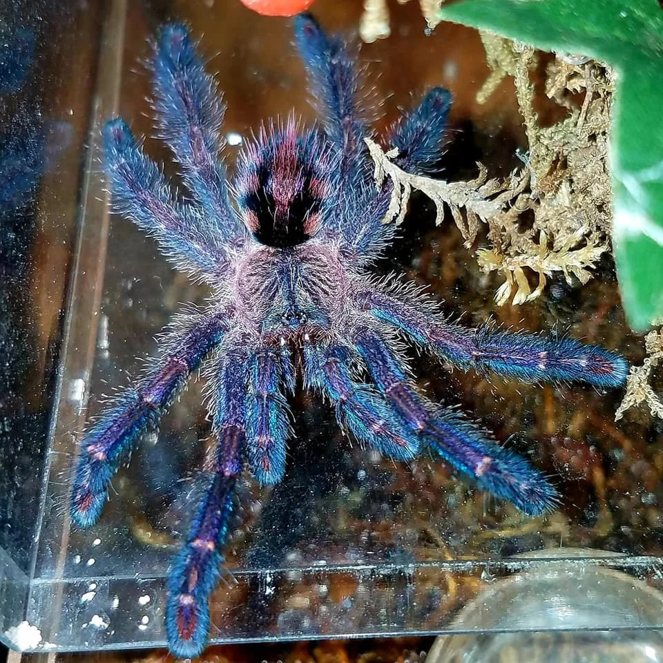 578d860ac3d55dd62ca7c588cd9f89cf