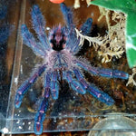 578d860ac3d55dd62ca7c588cd9f89cf