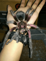 74885333f1df239a6f1bdc0f49efb5c0