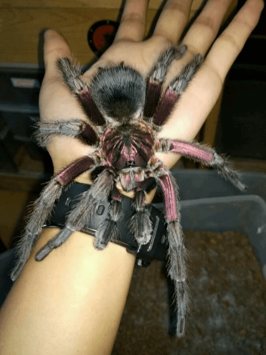 74885333f1df239a6f1bdc0f49efb5c0