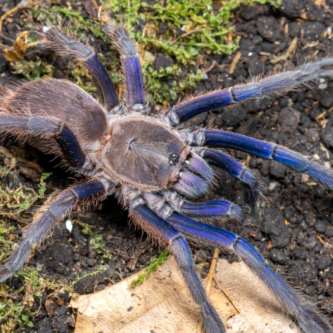 25257f470f2b60cfe20e4a327978cfa6