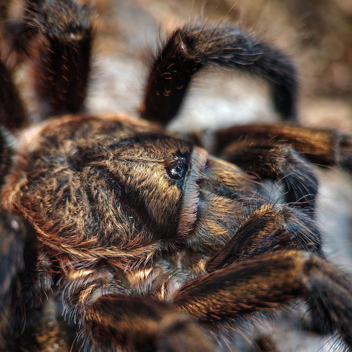 61529a71620fc79804bf0c3d9d04a2dd