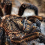 61529a71620fc79804bf0c3d9d04a2dd