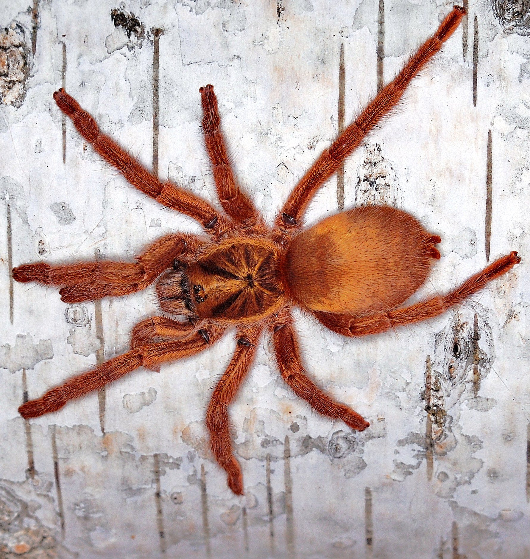 a7b9150aecc3a084e64e9e4eb256e150