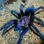 11e1b63a9acd071fe3270b96dc2a7bc4