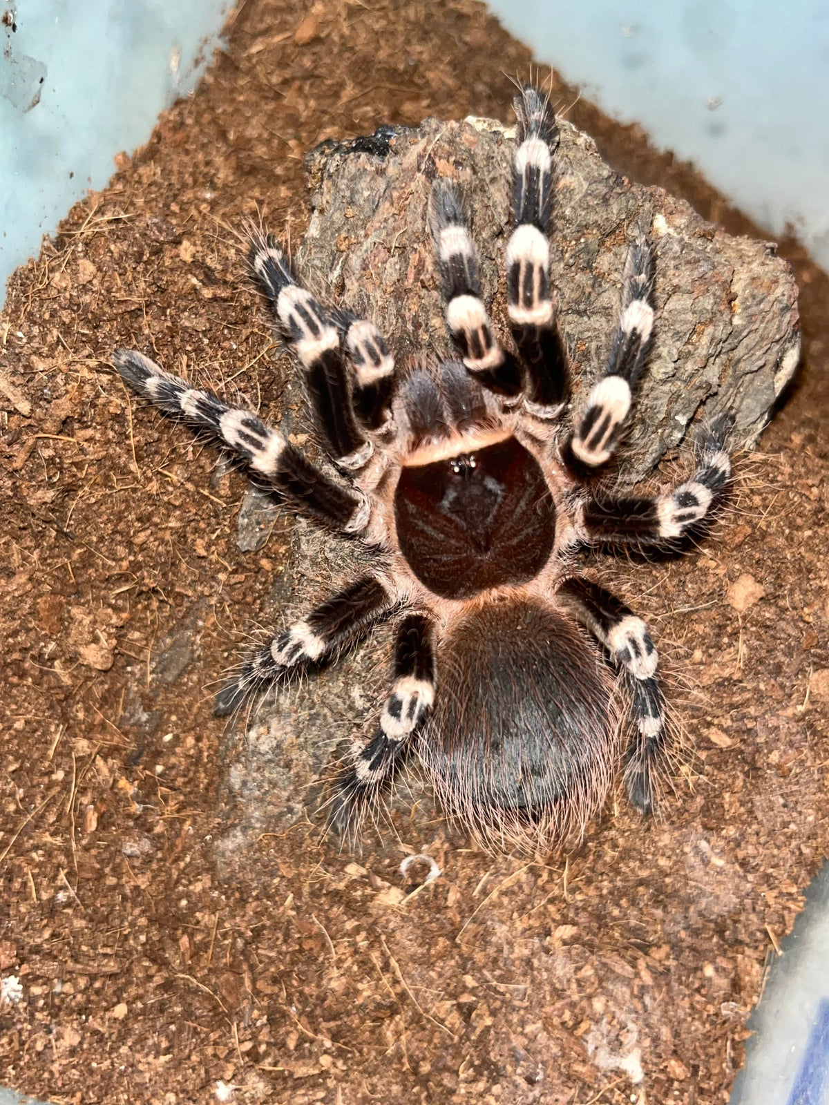 2f1568db96adff06b7a75347b9126bd3