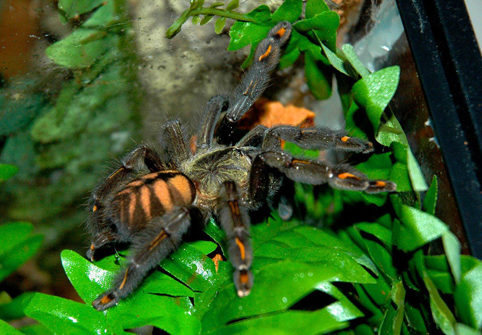 b09c9cd79c292ab536ee87f9d409d06e