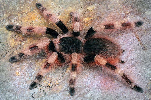 5f7d72e61b3c702ee13c5d1de7fc2872