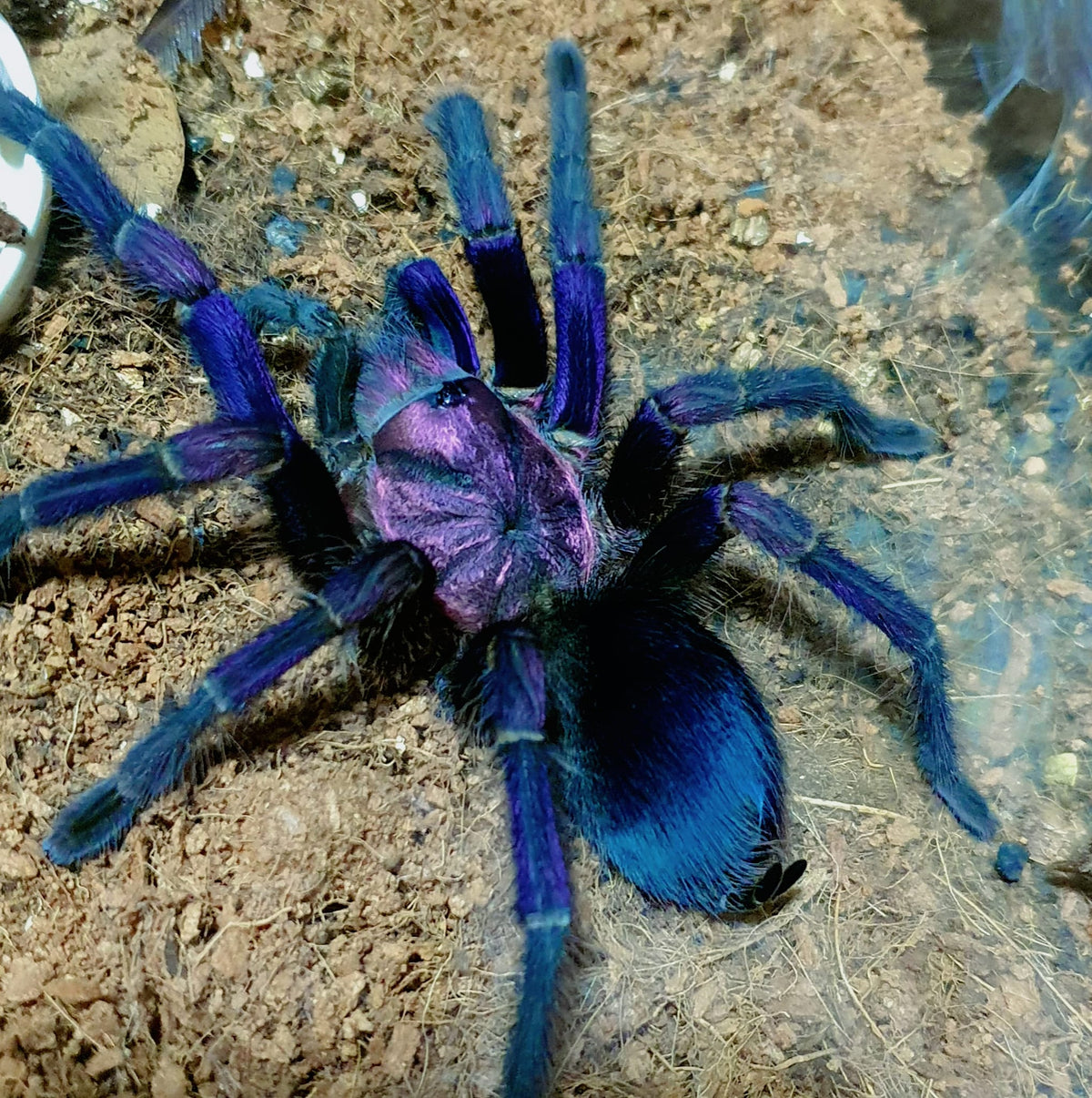 4a665e3ffa7ac3fb3b83170440de3d82