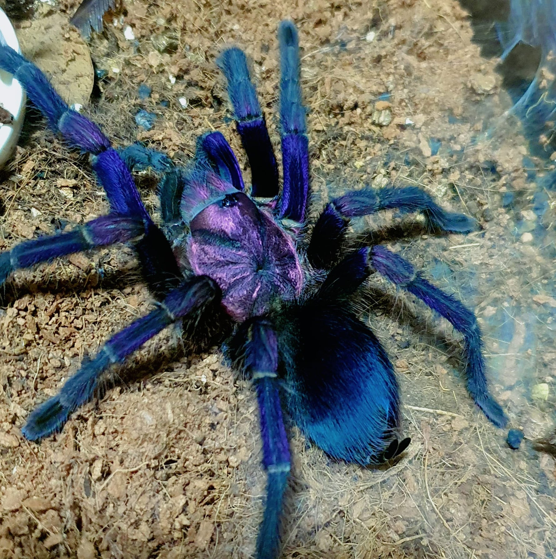 4a665e3ffa7ac3fb3b83170440de3d82