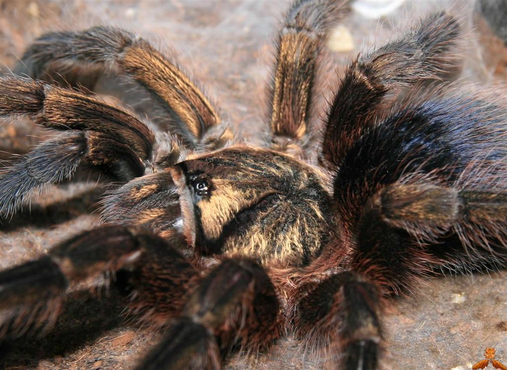 57531bb9e85d885f8161e9bb9a8a8d85