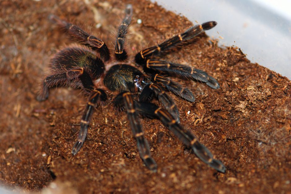 392c0197e93fb54c74c62bf1ba9948fd