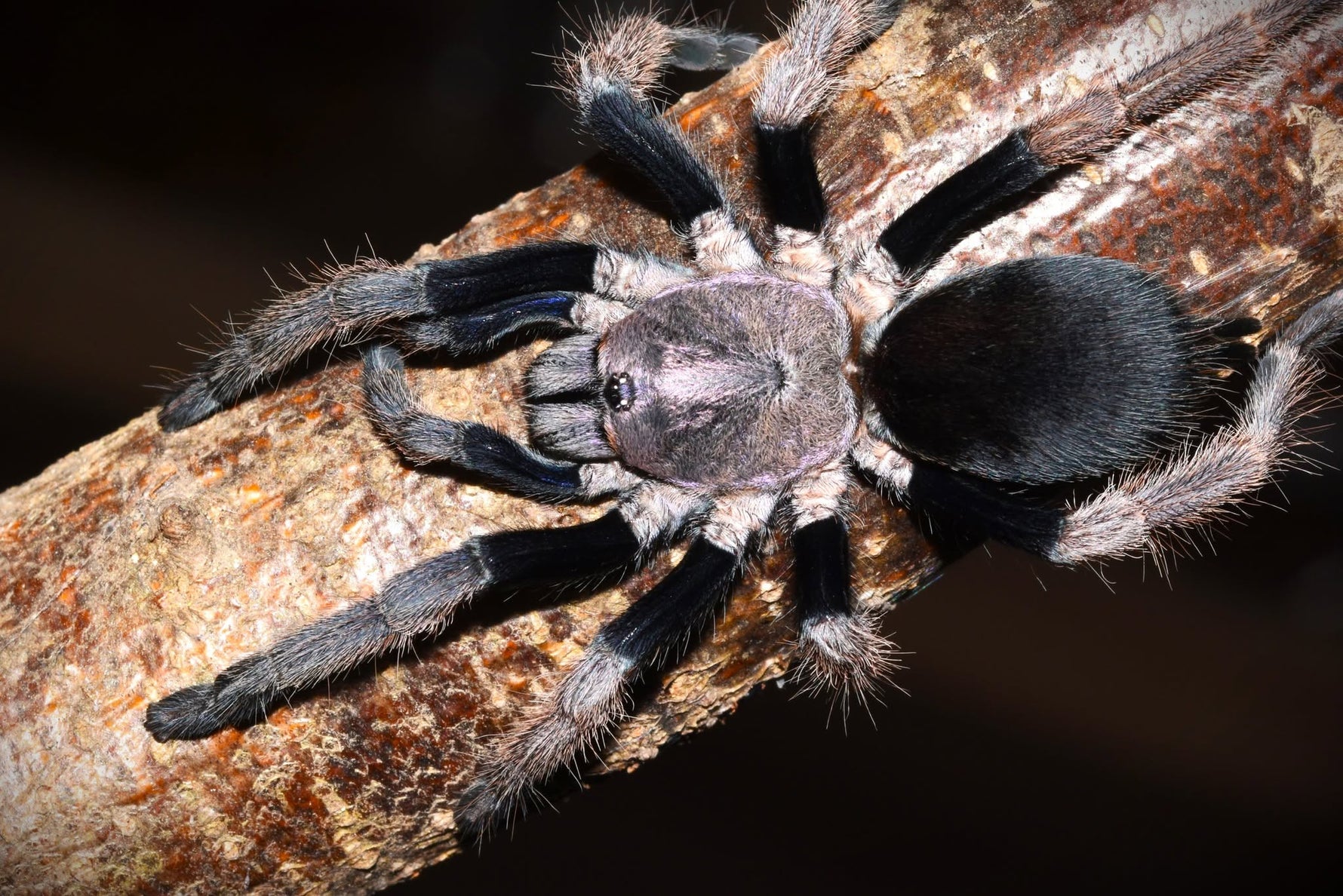 5dc84c8c3d1084f3969950c610e82e59