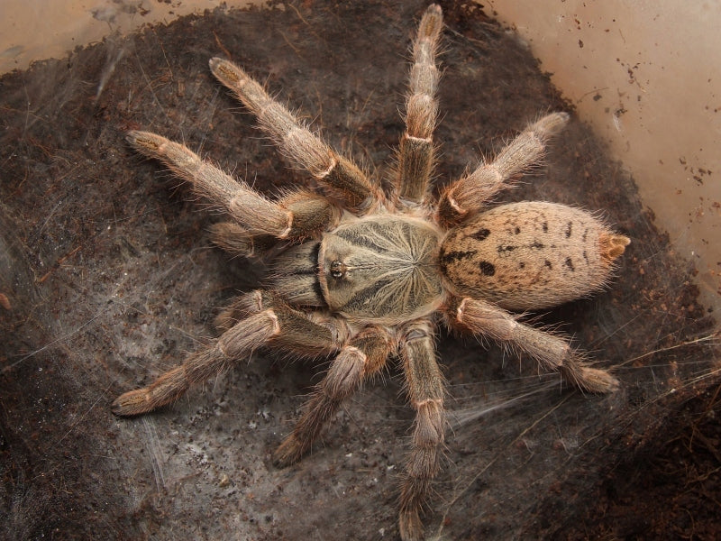 e6b8b40b788d7b972acd34966225ed70