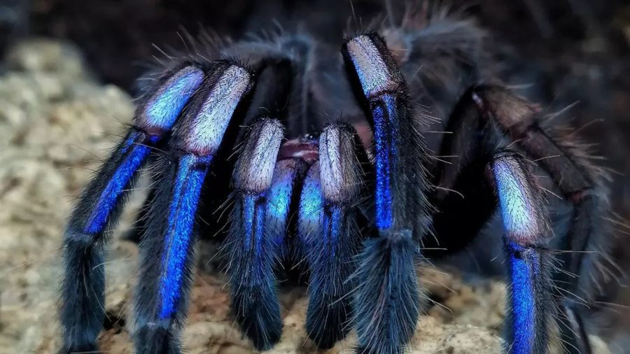 0b6eee519e1723f042ebfdd63ce909f4