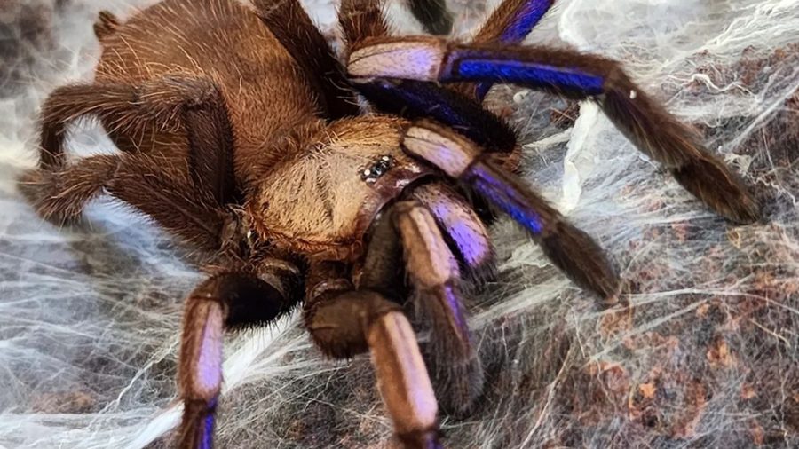 4a63670562dc394f5f61b89323fa428a