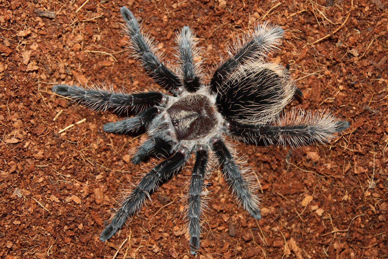 aae33256c906781533d1b6ce4ee95303