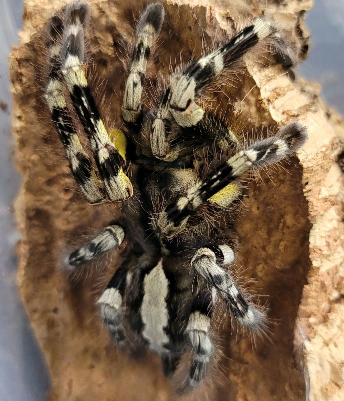 287df9053620a6cba64335e3f1c2b123