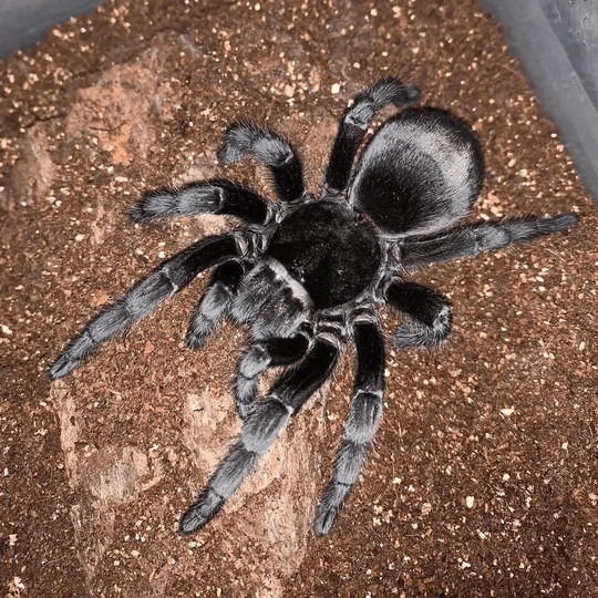 f71b75a761978fce5eef42767f2329bd