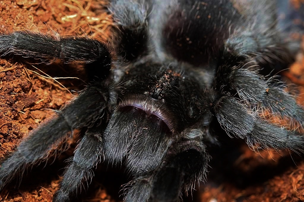 49380b4ad4e7b4082f04fdb24a796b79