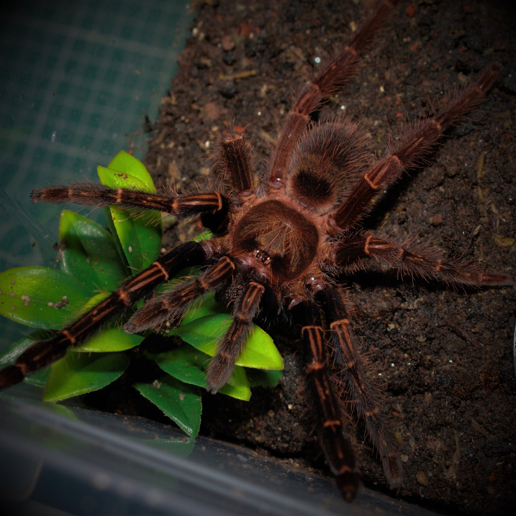 7414216de909e58fe4efaea8349d26ee