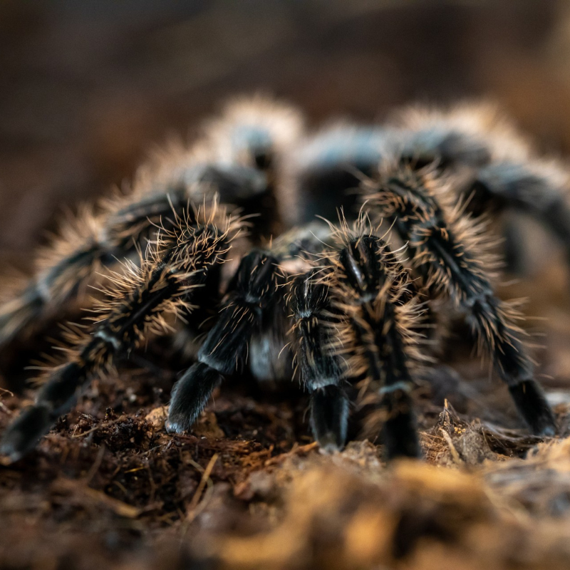 30834c813426a711cae8664a0e136c46