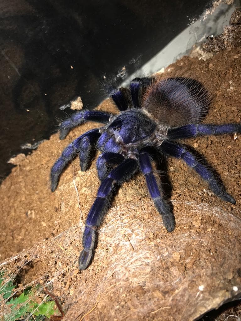 8be5513be668bb8483861e1f4bb1be60