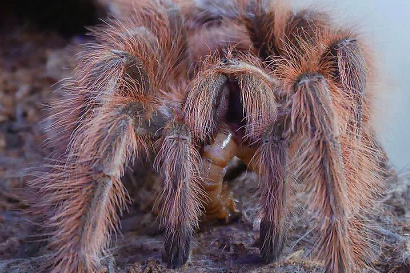 6609f4db5b861c2ddbec6f6dfbeaee18