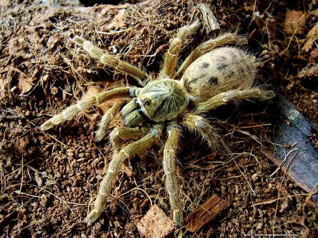 6d94cadd4529e5ed0858831e7ed0c485