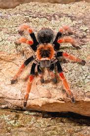 6b64d8b5aacb549b7db91d59990c0cbb