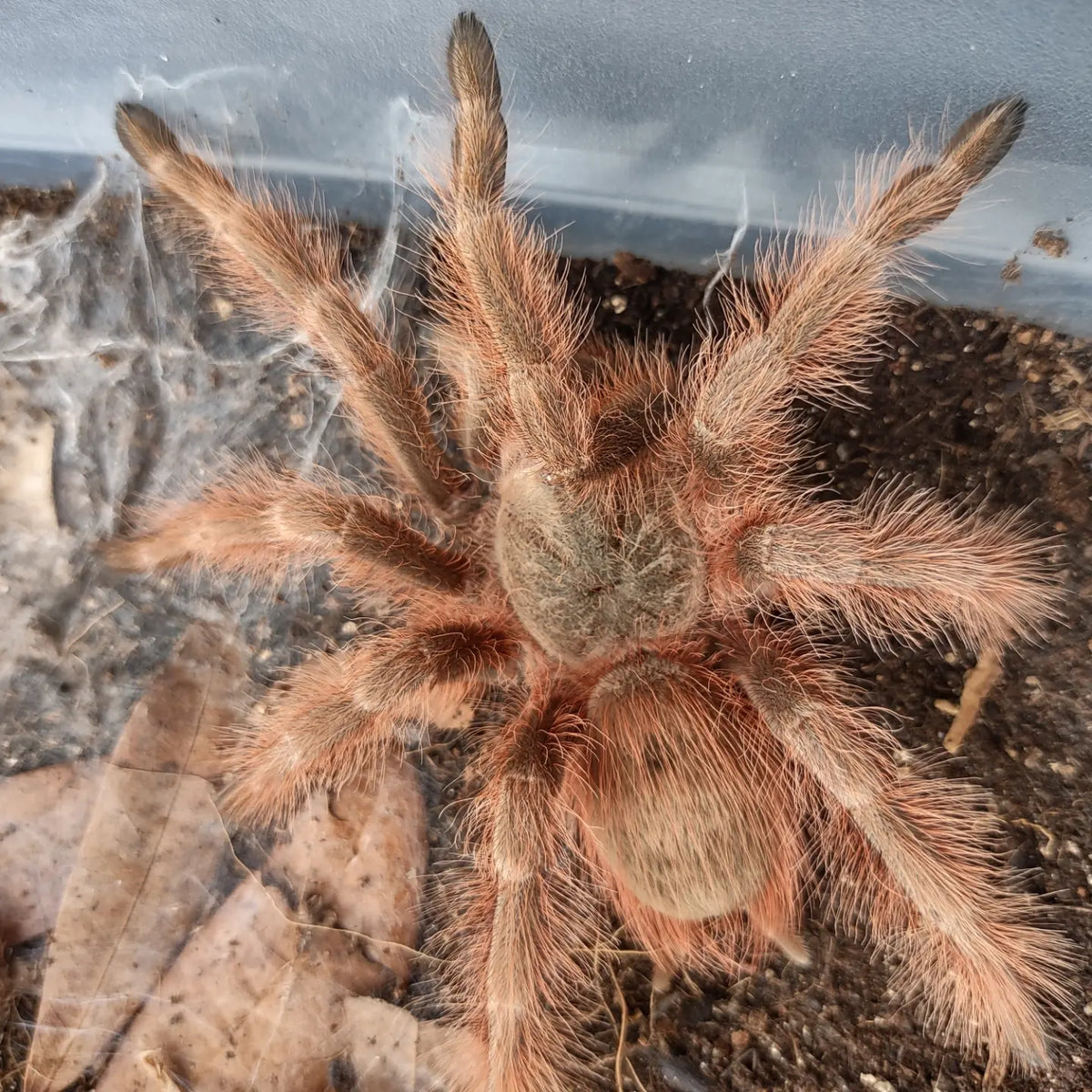 7b263a68b1d36ba41a1d2e822ab9f5df