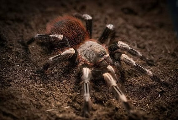 6354330019c3b23128d6993beb81035f