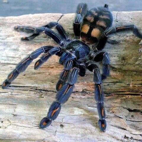 518eca207d52a3b2ad314df2933a1dba