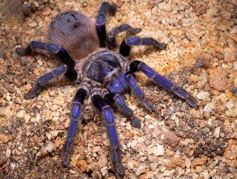 a6f52a5f37042d304bb01131a7d9bd7f