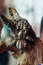 b842d49035926e89137e16092acb0ae9