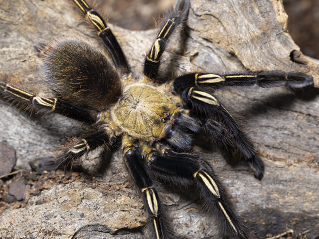 bed9f3a8d9dcf803e79f34757a1c79b5