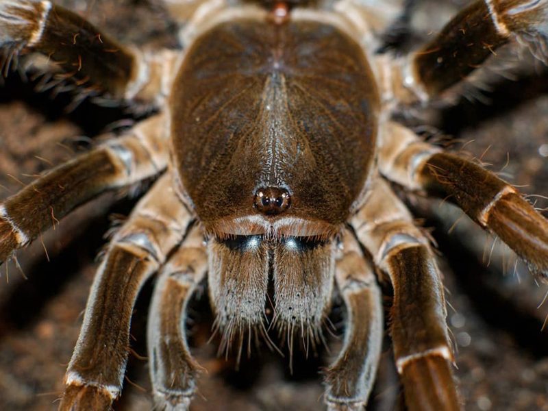 dc097aa1218b777a438d355a106530b0