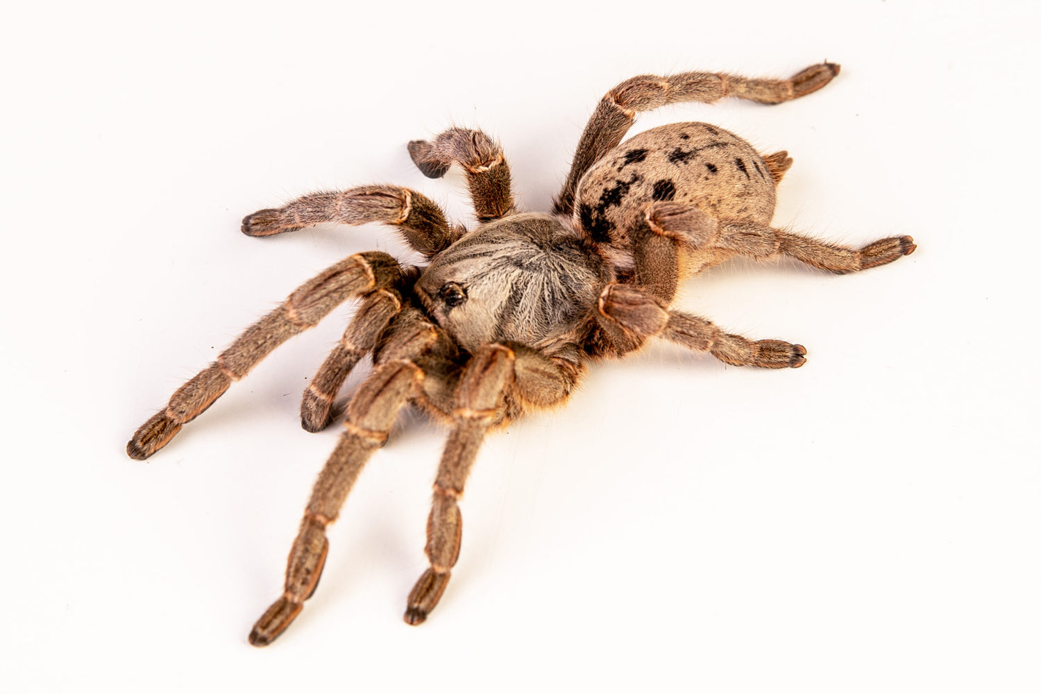 e207d97aaa20c504e0a485e487a3421c