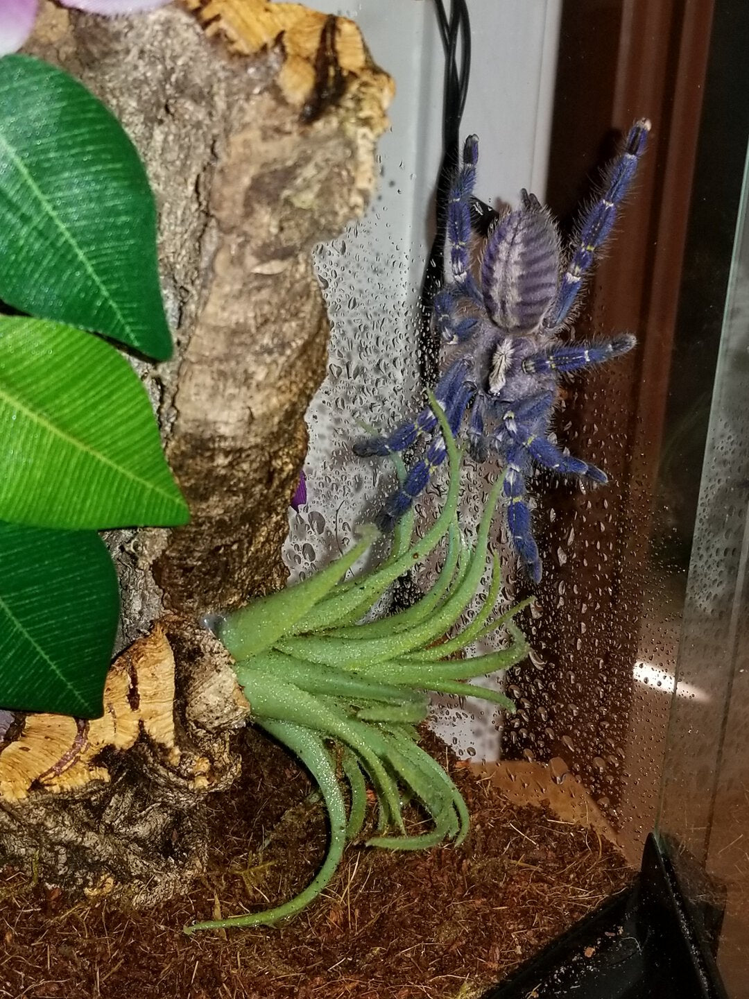 38077379c7be8511e511711cf346b3b4