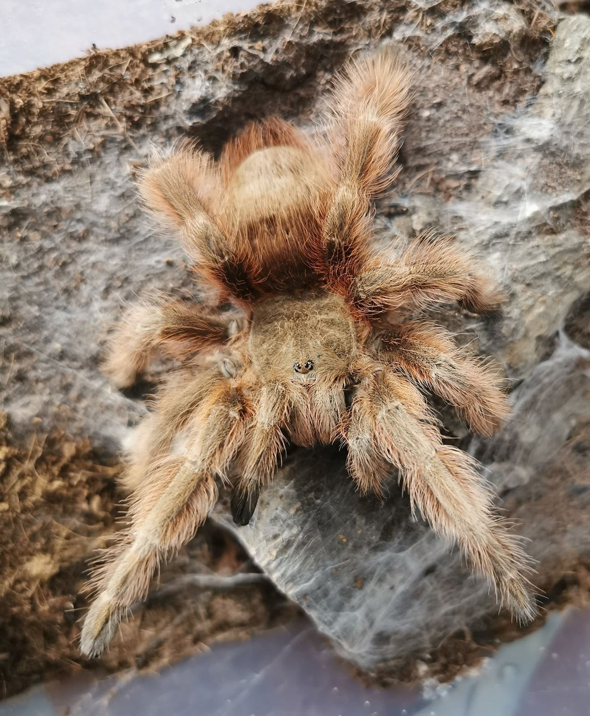 f9e5fe67f16ddb676a0771ec6c45ffd3